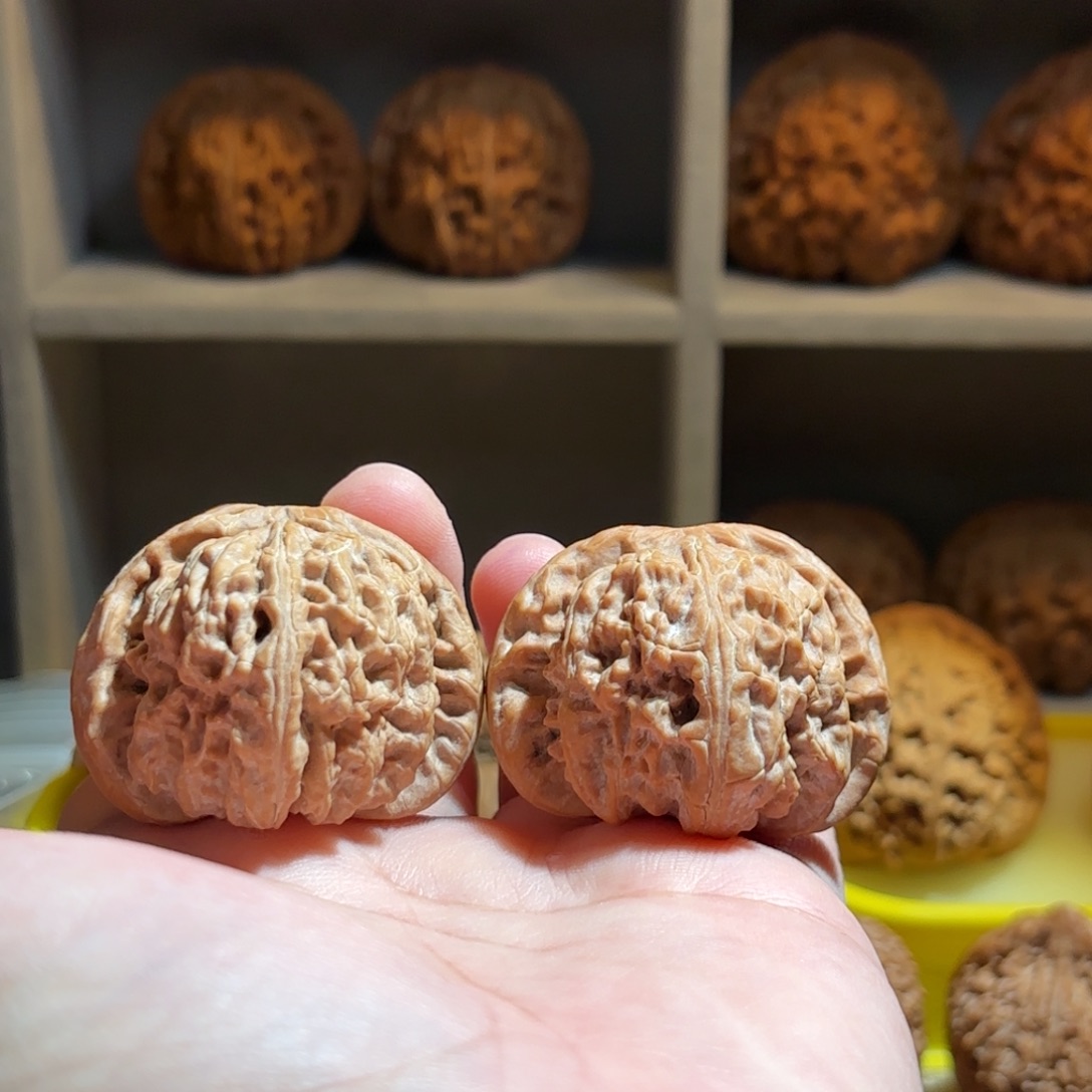 把件文玩核桃41微修白狮子