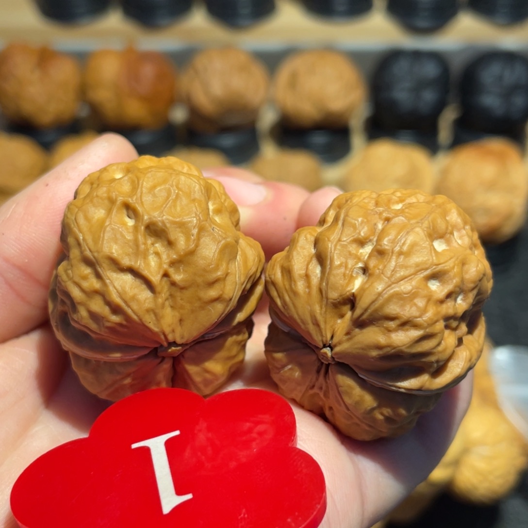 不***1元宝金蟾王35。   