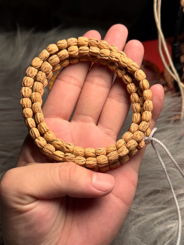 热振柏香籽直切顺纹