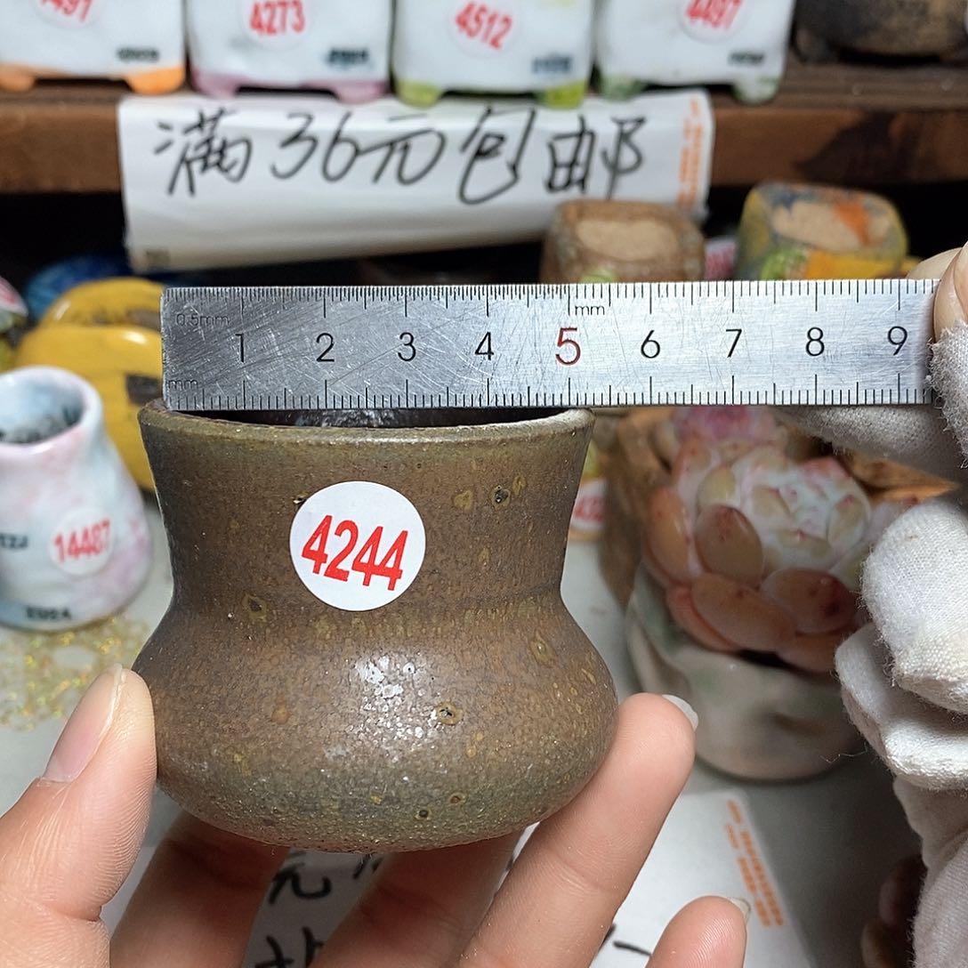 红陶拍5送一个小