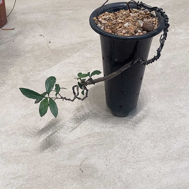 @***司完全开放海岛春花111