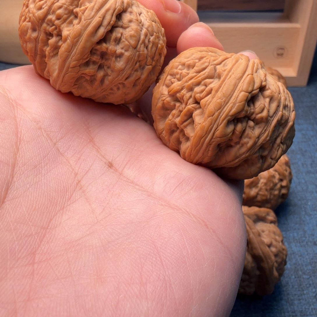 猴头核桃把件夜*黑骨王40尺寸2197