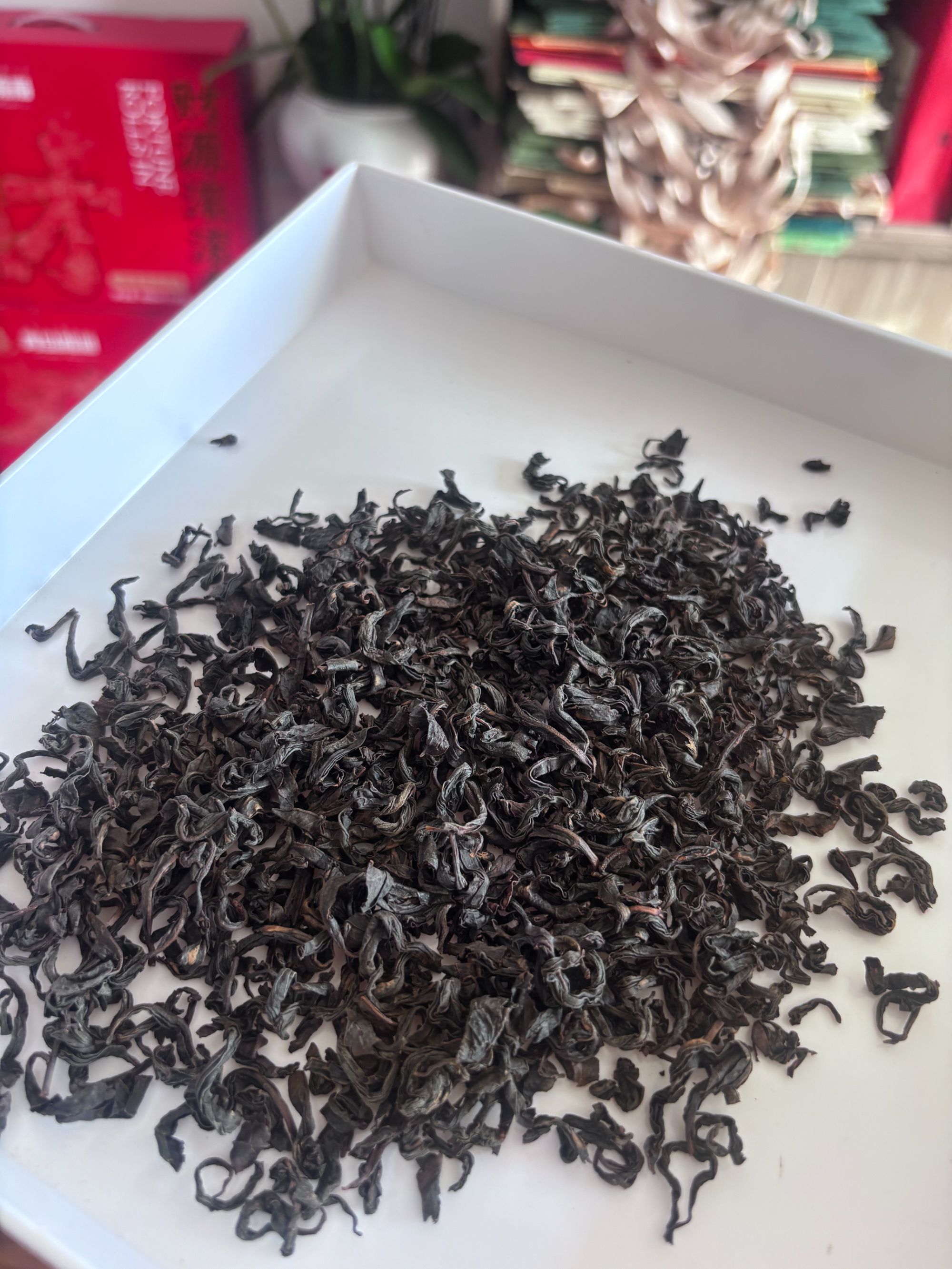 2025年新茶 日照红茶