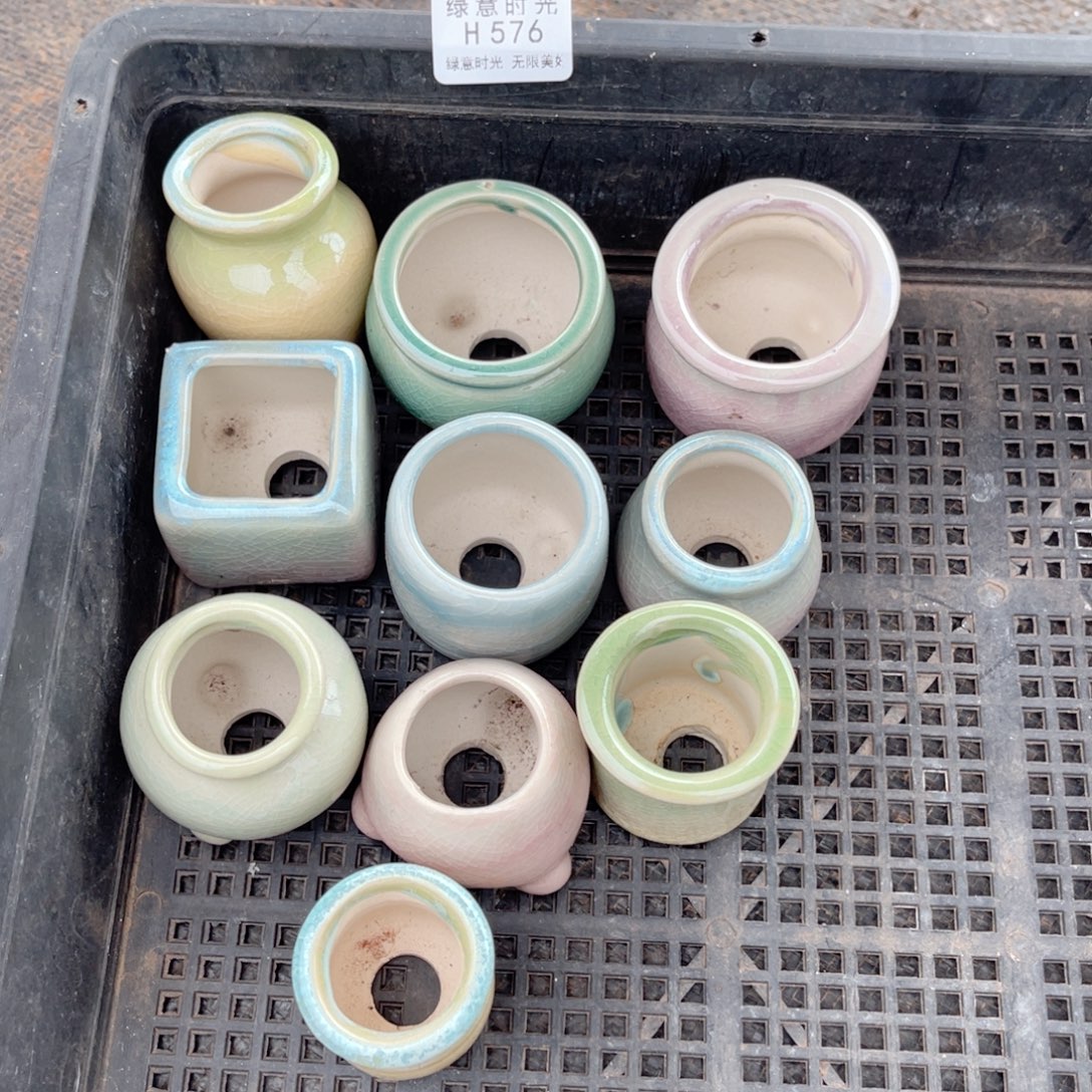 576   小花盆10个，颜色随机