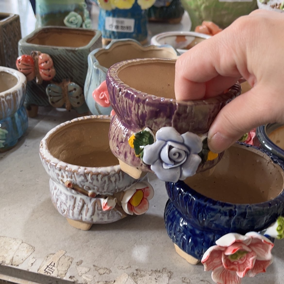 【闪购商品】红陶福利