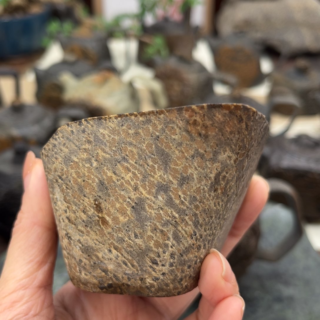 天然冰碛岩主人杯