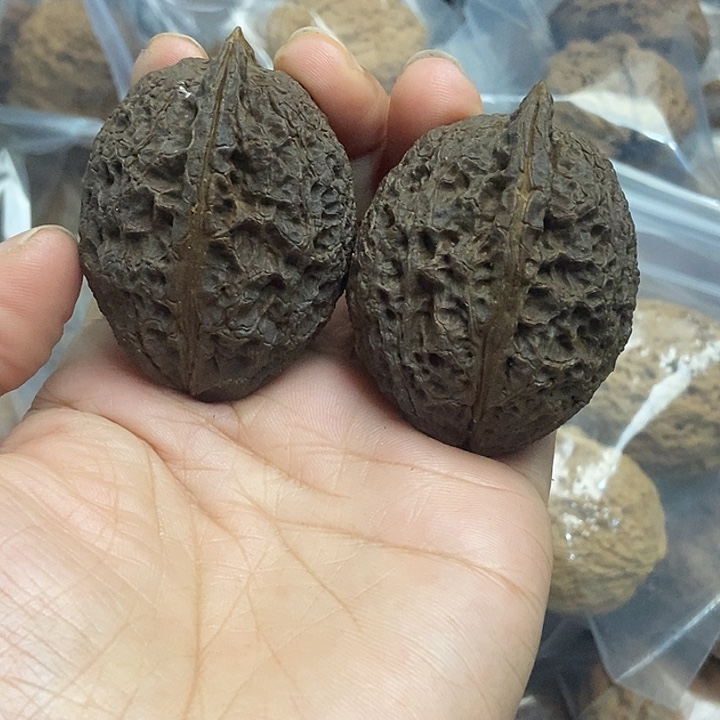 木质类云南铁核桃基地5