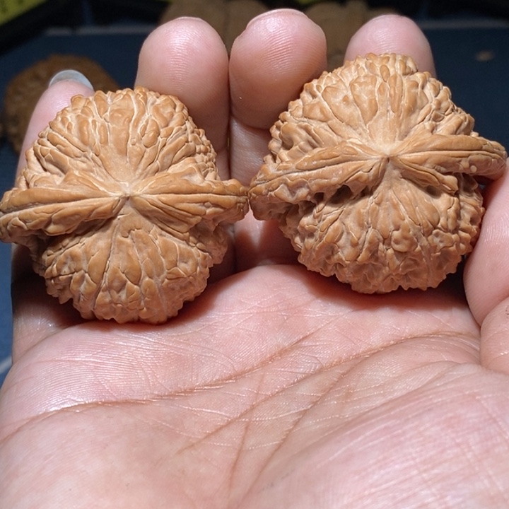 文玩核桃把件45白全品