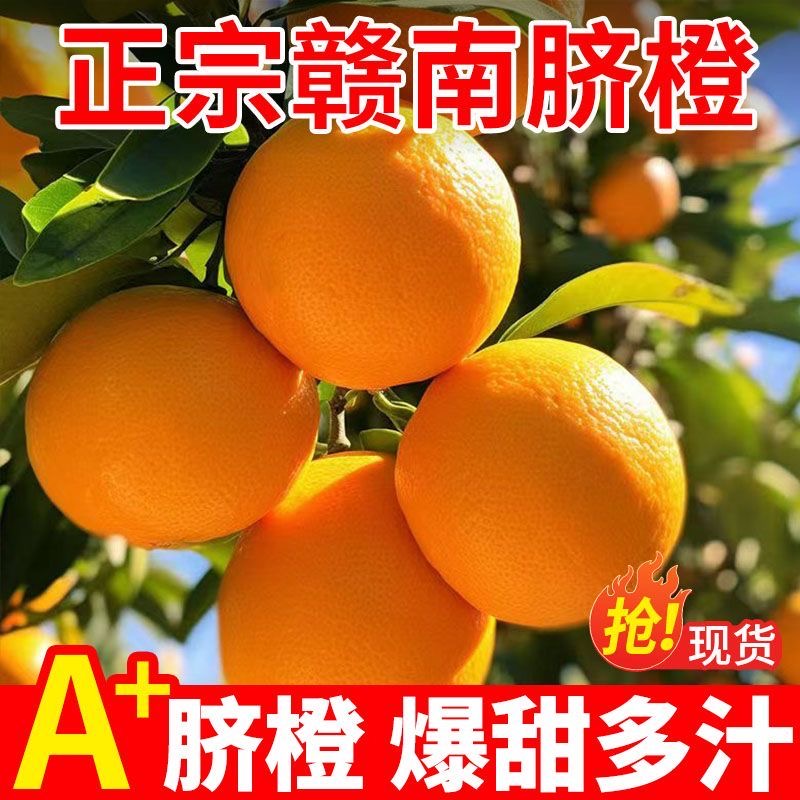 江西赣南现摘正宗脐橙当季新鲜水果香甜爆汁5/10斤精品脐橙
