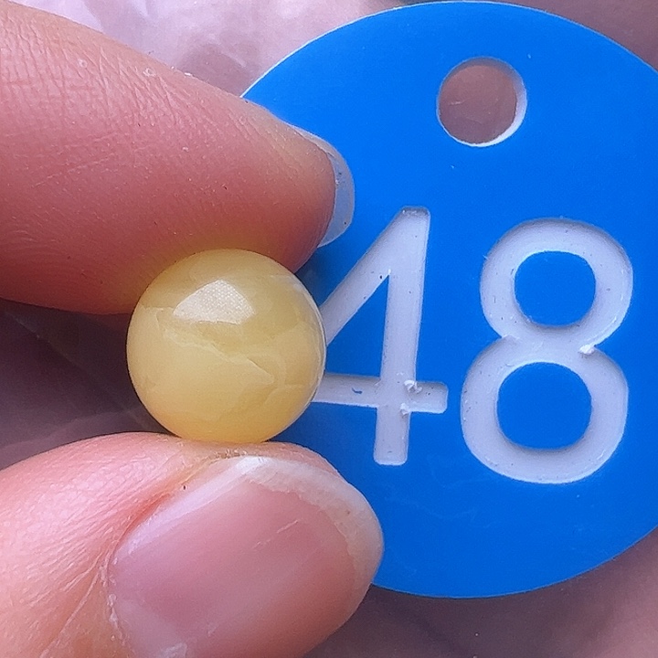 蜜蜡裸石未镶嵌9.8m m