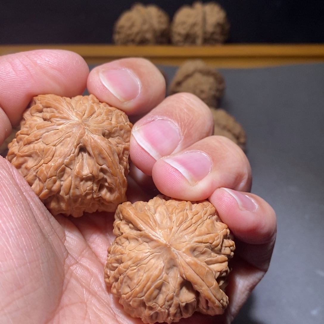 早***睡核桃40山西磨盘核桃