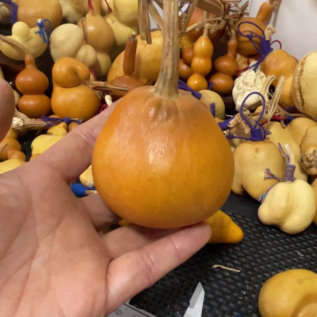 我***爸葫芦哈哈哈哈哈哈哈哈哈哈