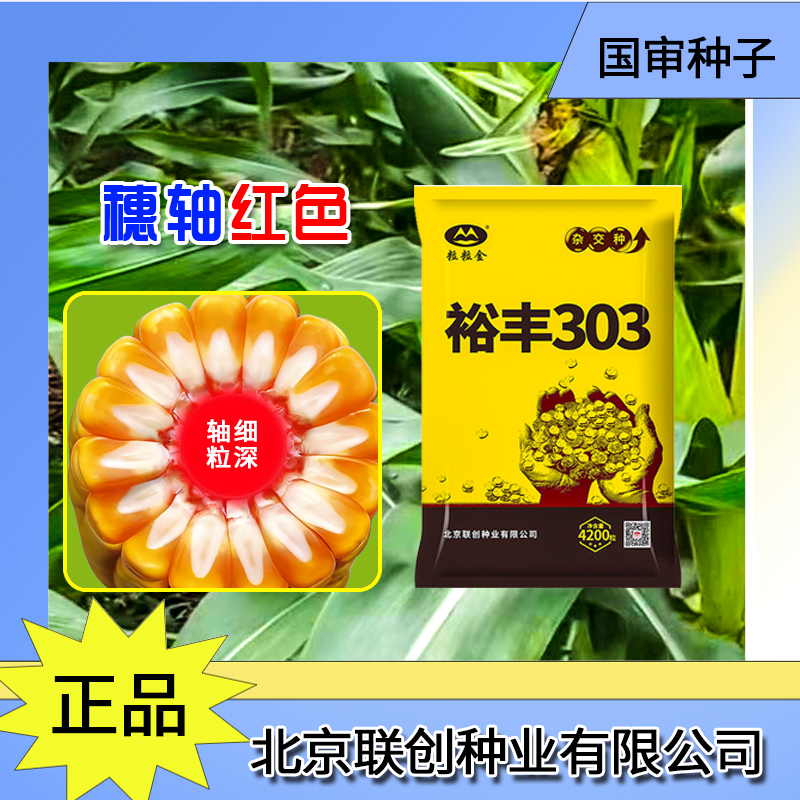  裕丰303玉米种子抗病抗倒高产稳产耐高温玉米种子原厂包装正品