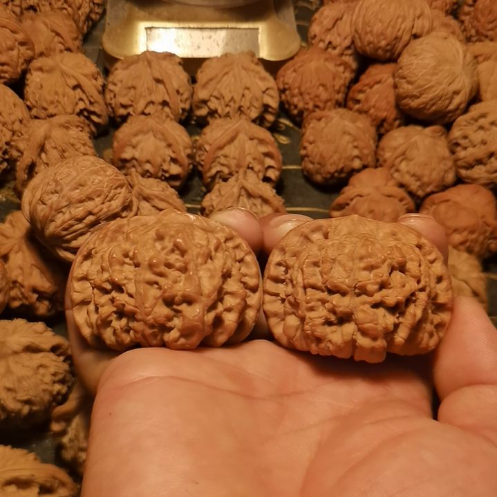 S***名吊坠文玩核桃官帽