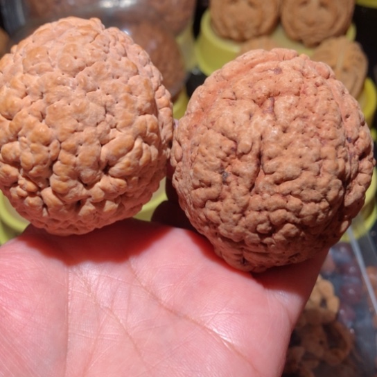 文玩核桃把件练手金刚菩提