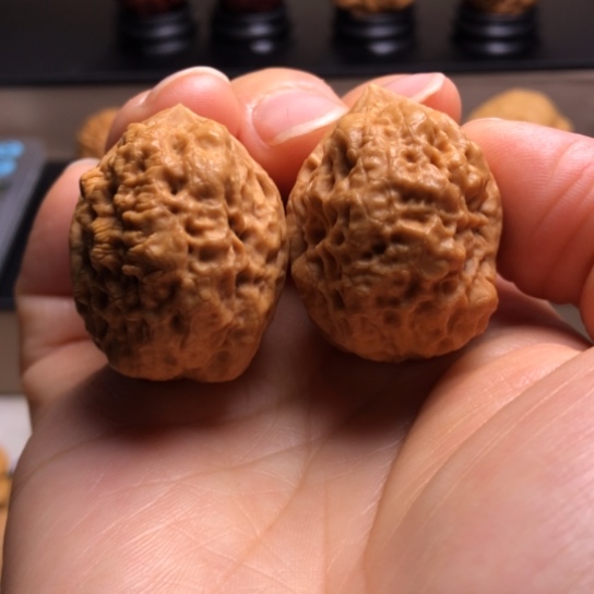 文玩核桃把件鸭嘴兽疙瘩包22