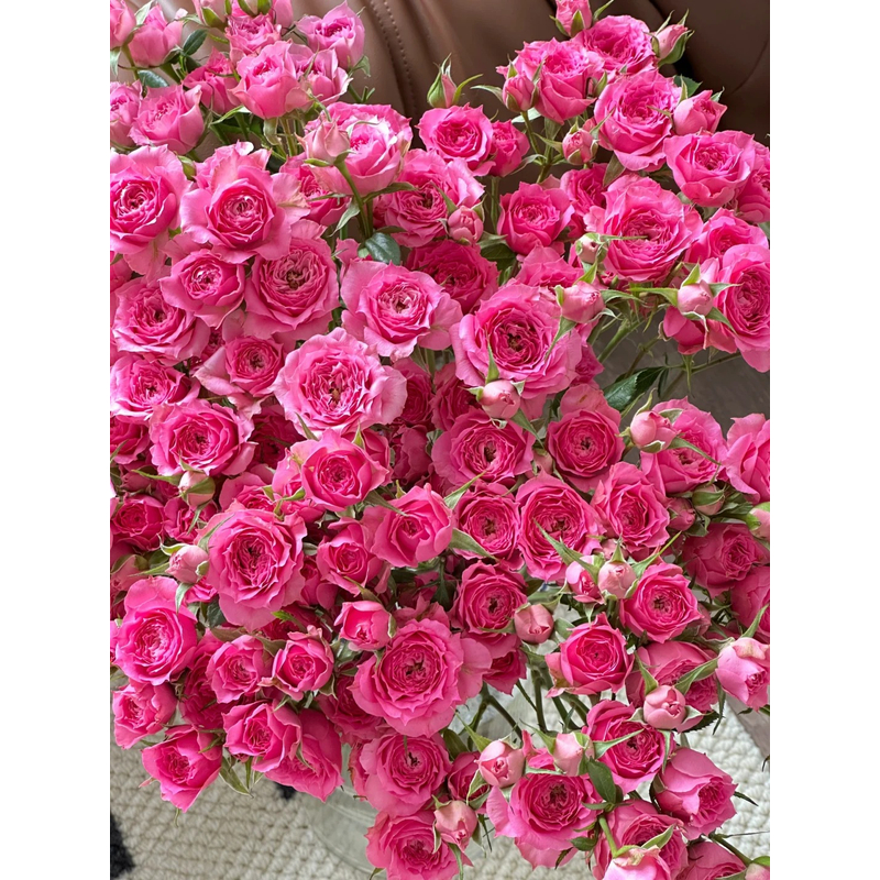 【苏菲宝贝】多头玫瑰 一单包邮 云南鲜花昆明基地现采现发