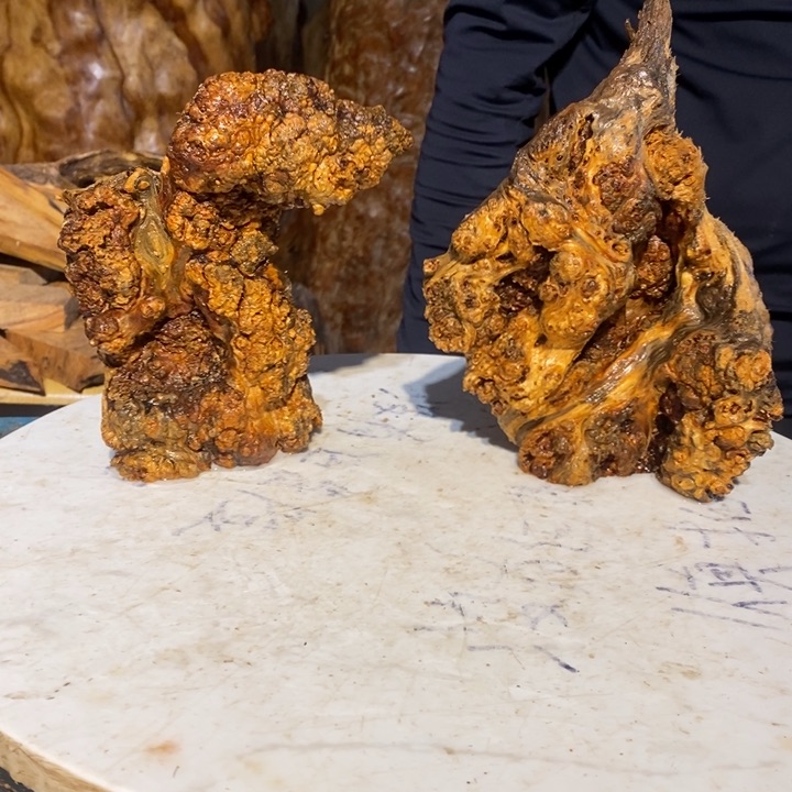 腾****）我们都是你的粉丝69