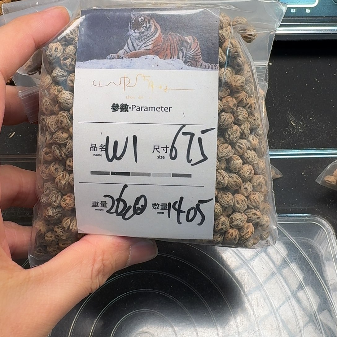 泽***柏香籽/百香籽吊坠