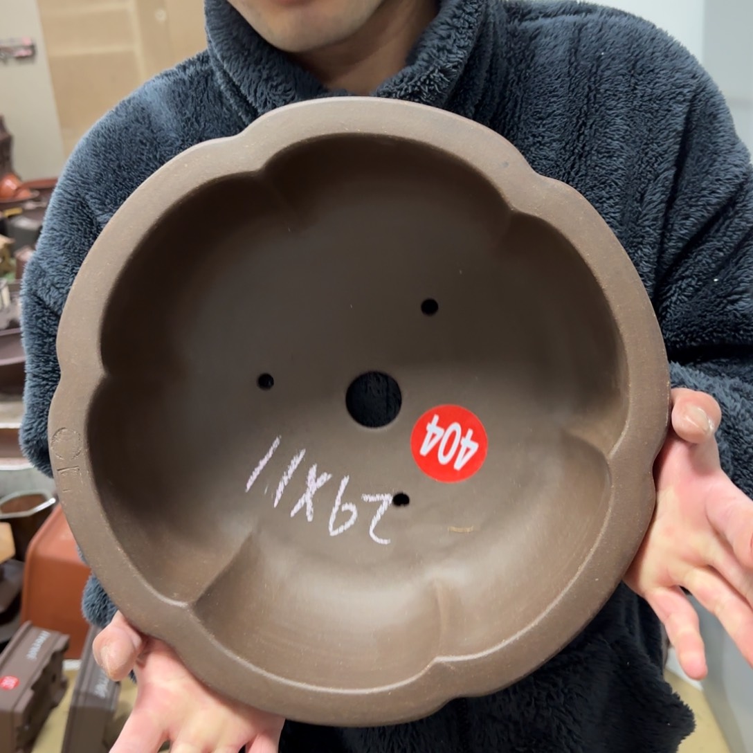 紫砂花盆呜呜呜呜