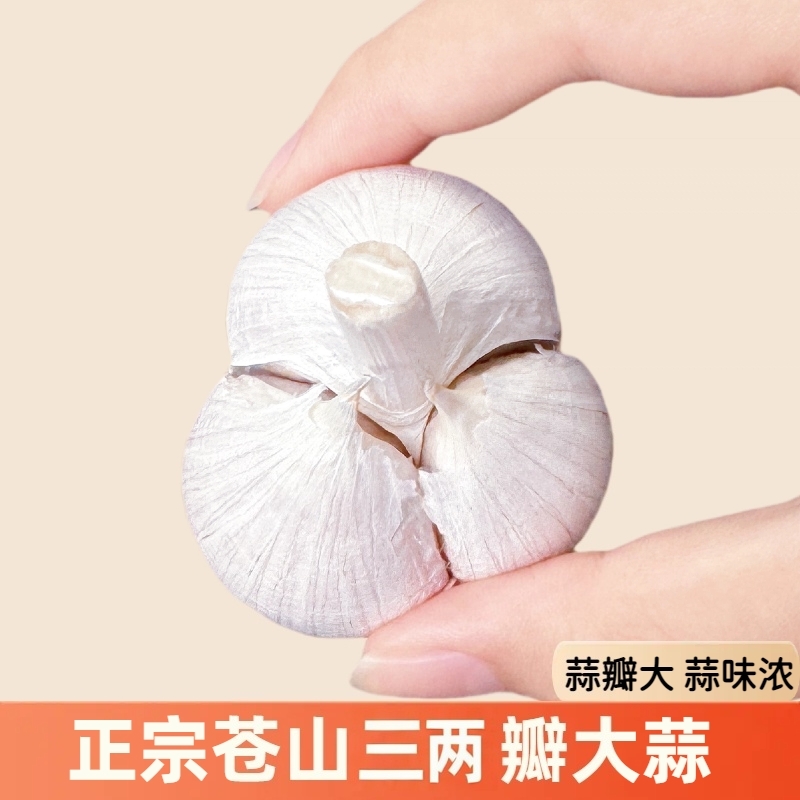 【正宗两三瓣】2025年苍山三两瓣大蒜山东新干蒜蒜香味浓蒜香浓郁