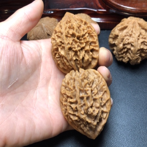 大叶紫檀（黑酸枝木类）G***陈