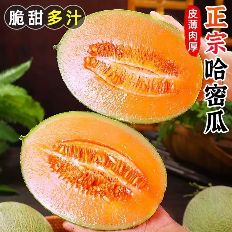 正宗海南哈密瓜当季新鲜水果蜜瓜整箱批发