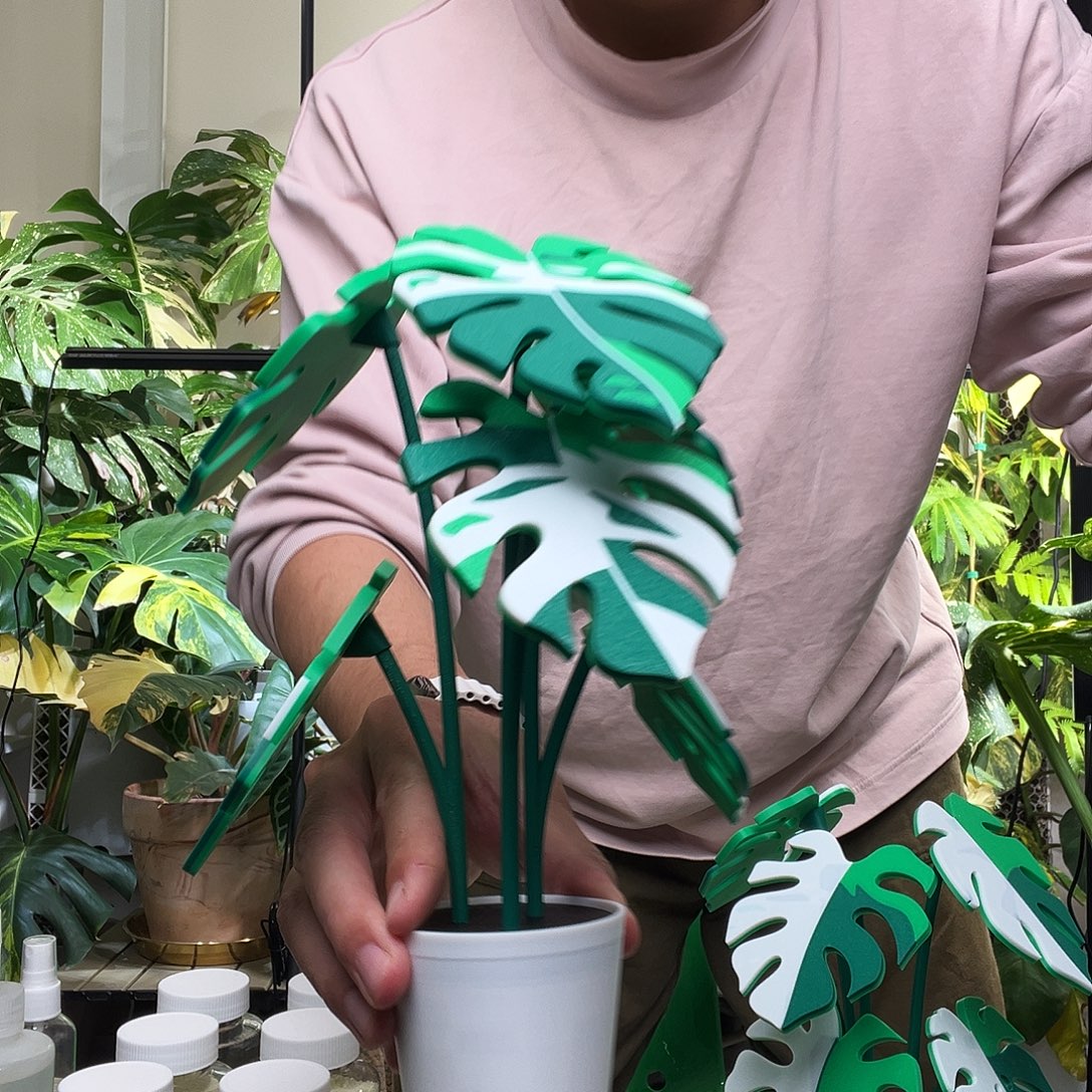 塑料3d打印龟背竹杯垫