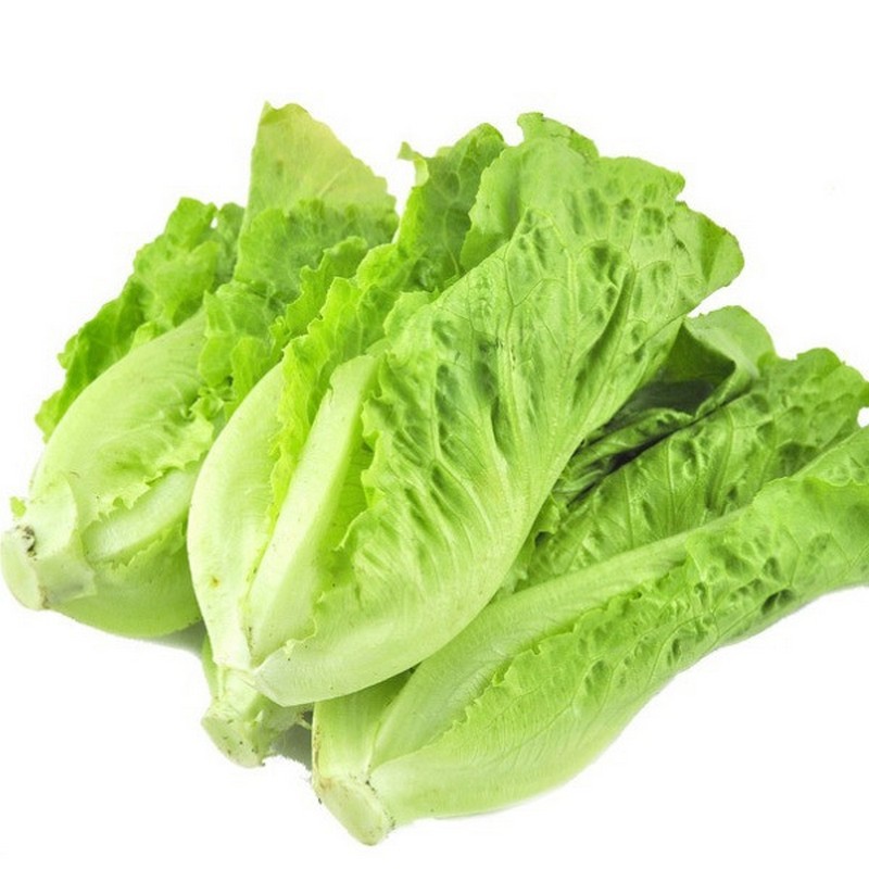 罗马生菜 （约1斤）