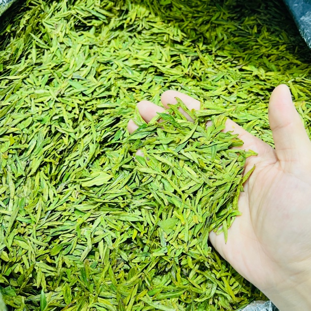 特惠绿版豆香276明前龙井（春茶，绿版龙井，无赠品）