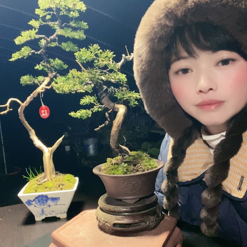 【闪购商品】少量花朵（建议范围：2朵-5朵 或40%以下）盆景园林