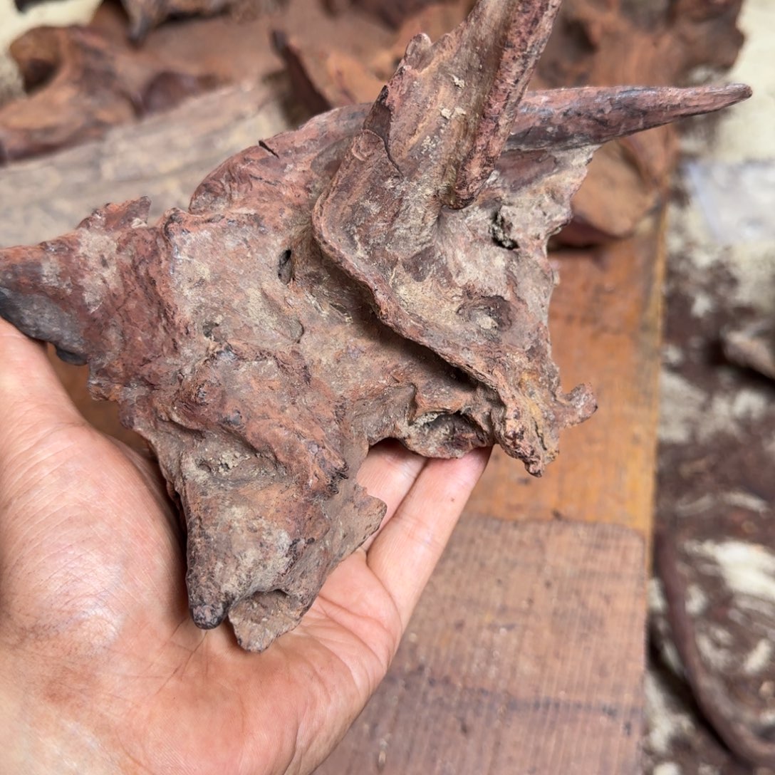 黄花梨/降香黄檀手串原料定制