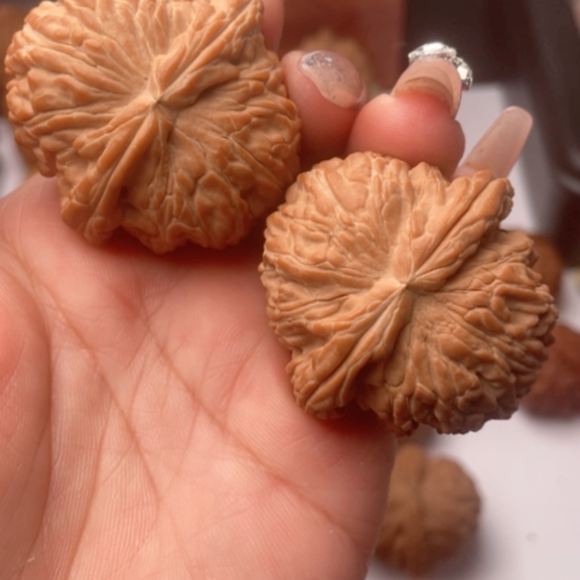 【闪购商品】猴头核桃吊坠一口价44尺球白