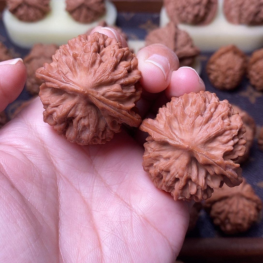 木质类全品骨赛龙39.5尺