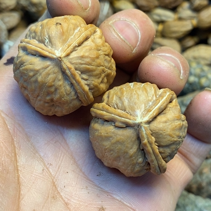 桃核吊坠娜姐真的71