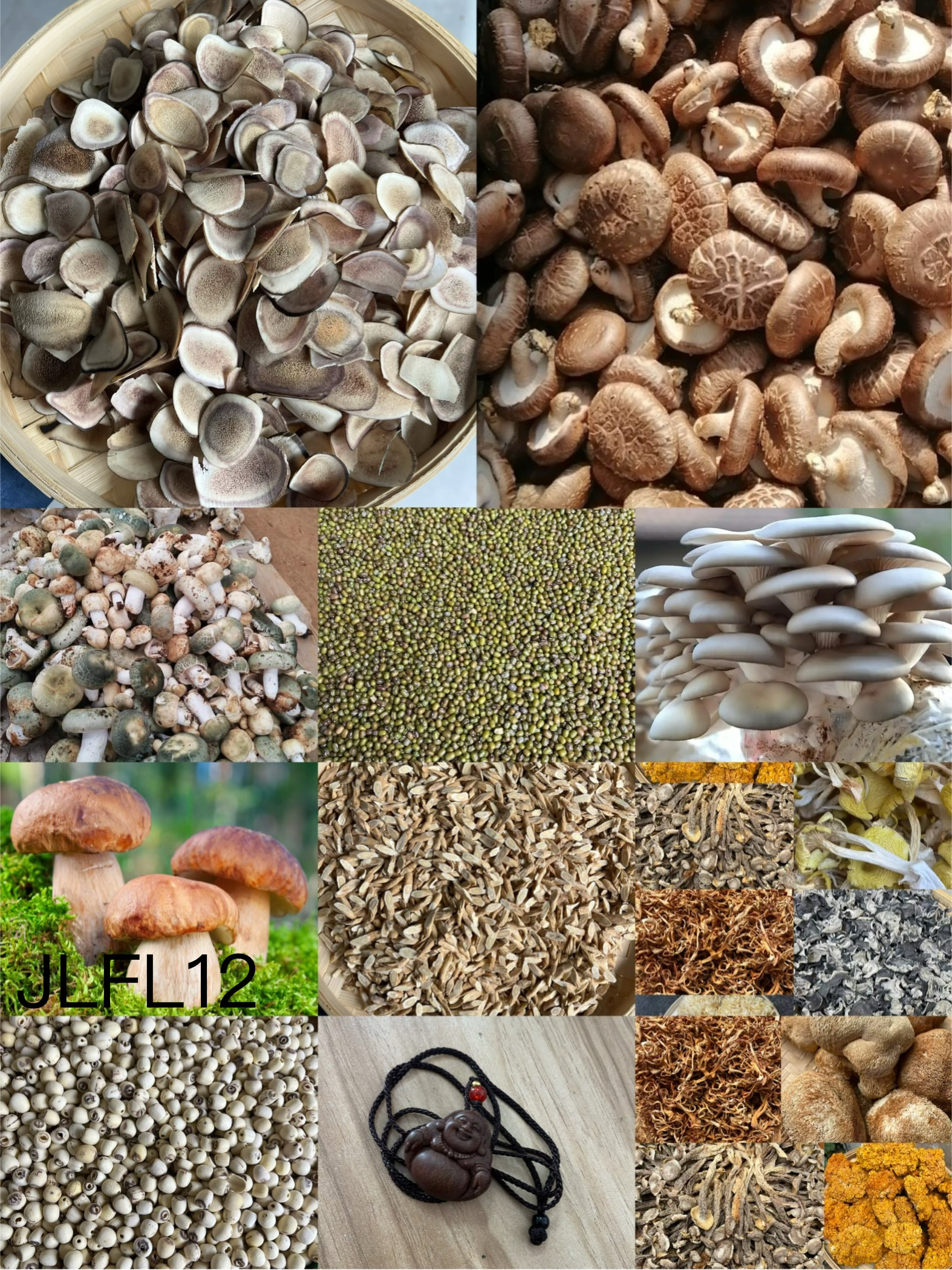 《阿浩专用土特产JLFL12》多样性发货 重量6克左右