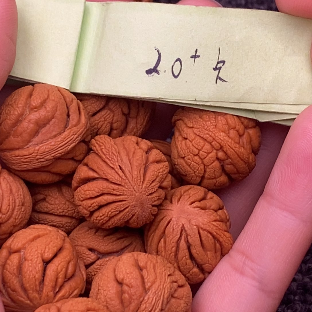 秦岭山脉龙纹桃核 13