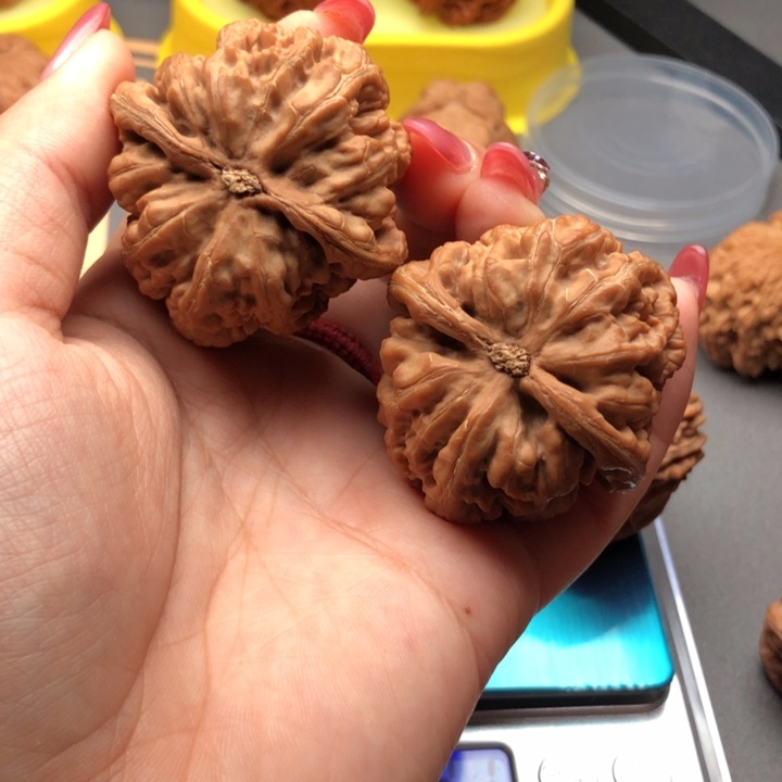 你***鹰文玩核桃把件43大粗筋