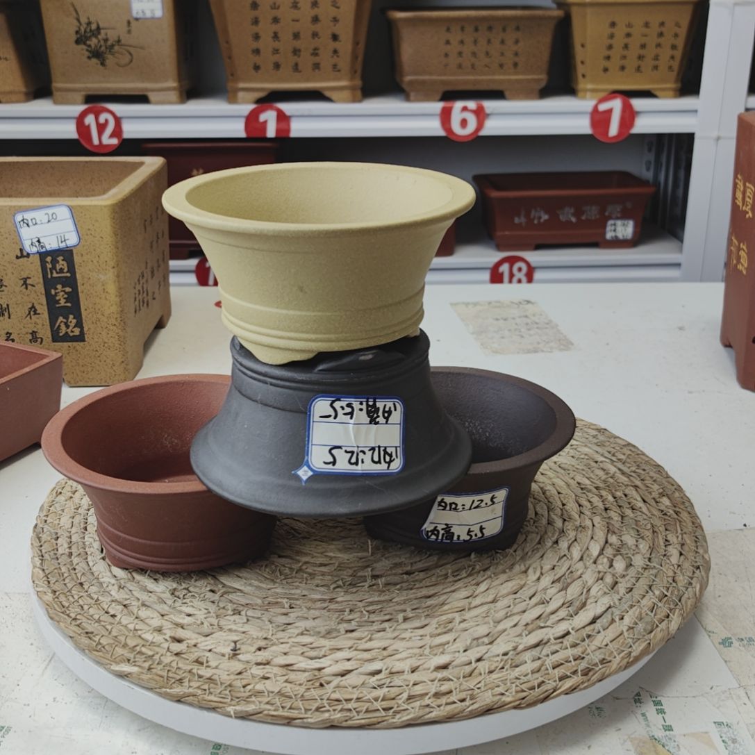 紫砂花盆你们的事