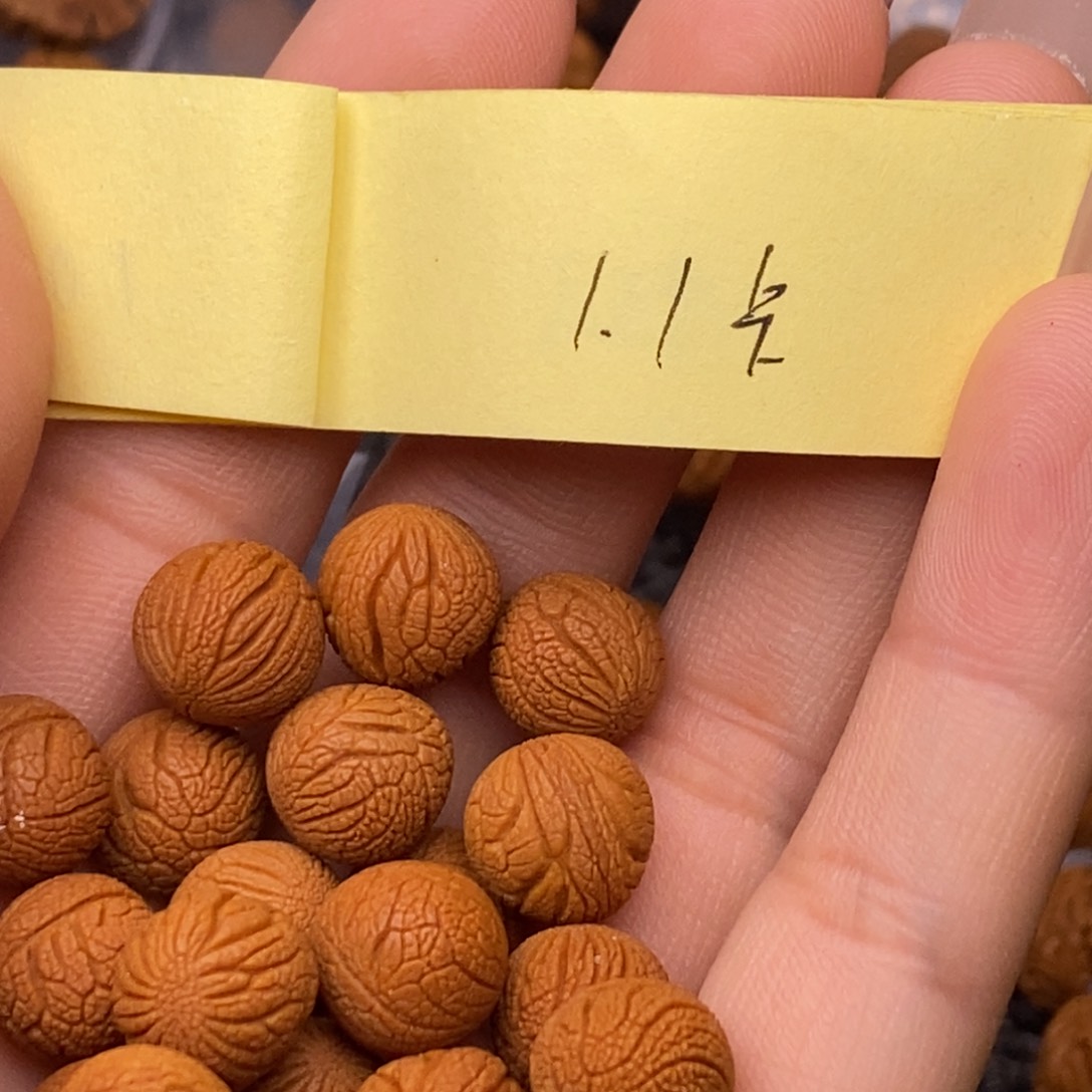 秦岭山脉龙纹桃核 21