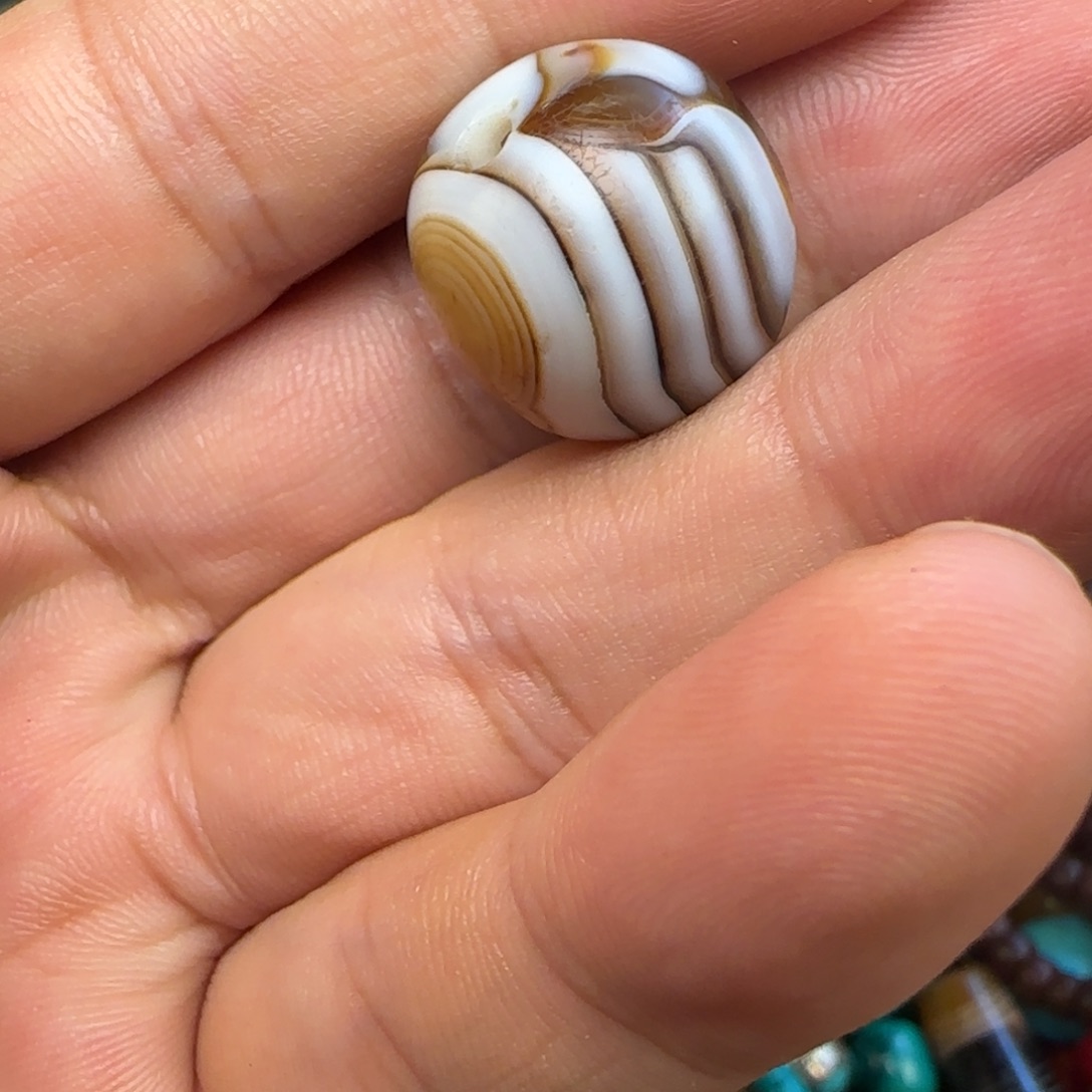 一颗漏漏漏漏漏漏漏漏