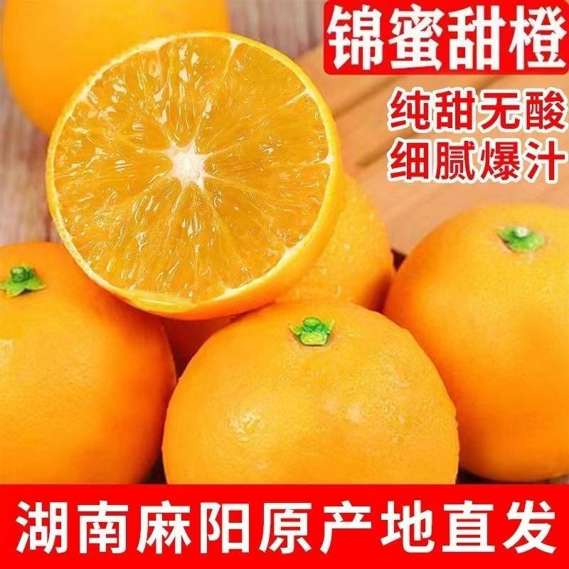 正宗麻阳锦蜜甜橙新鲜采摘蜜甜多汁当季孕妈水果产地直发一件批发