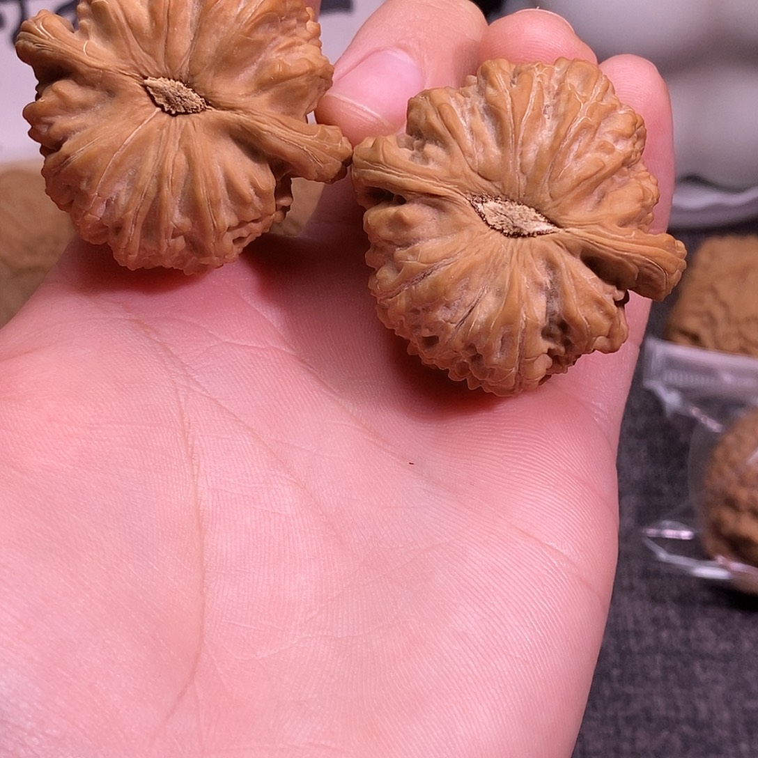 文玩核桃把件白狮子43