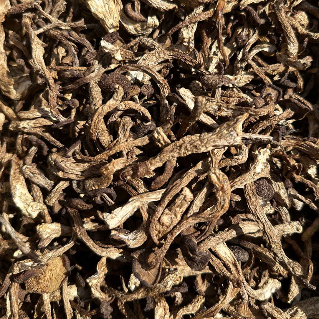 精选东北野生霸蘑干货菌中珍品煲汤菇类干货菌菇食材