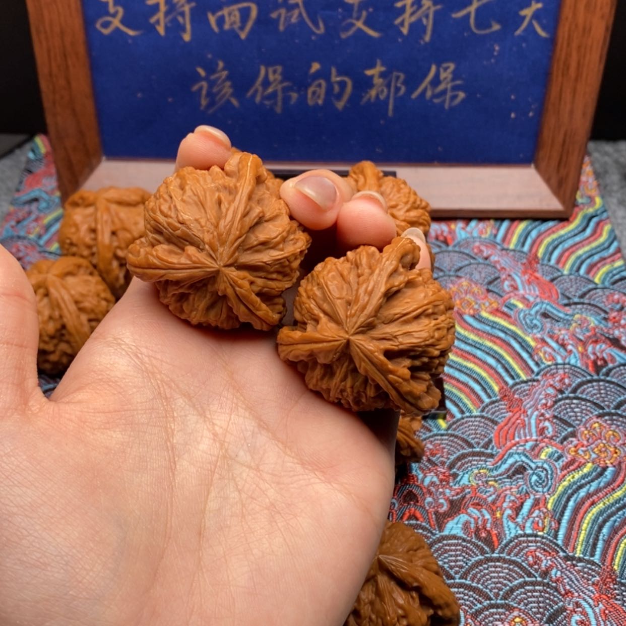 【闪购商品】知**库白狮子1111111