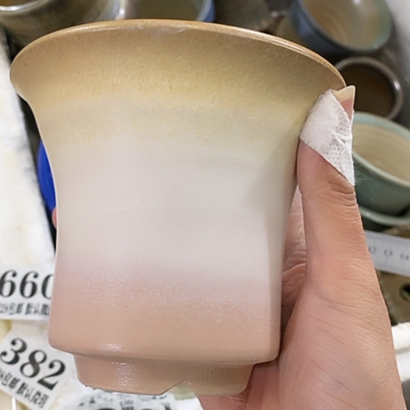 【闪购商品】红陶口11