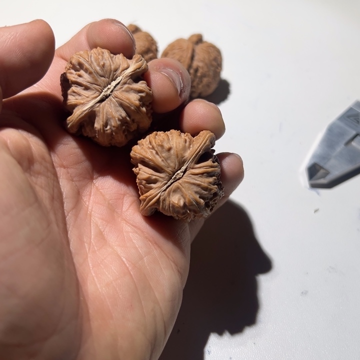 大***子把件文玩核桃白狮子