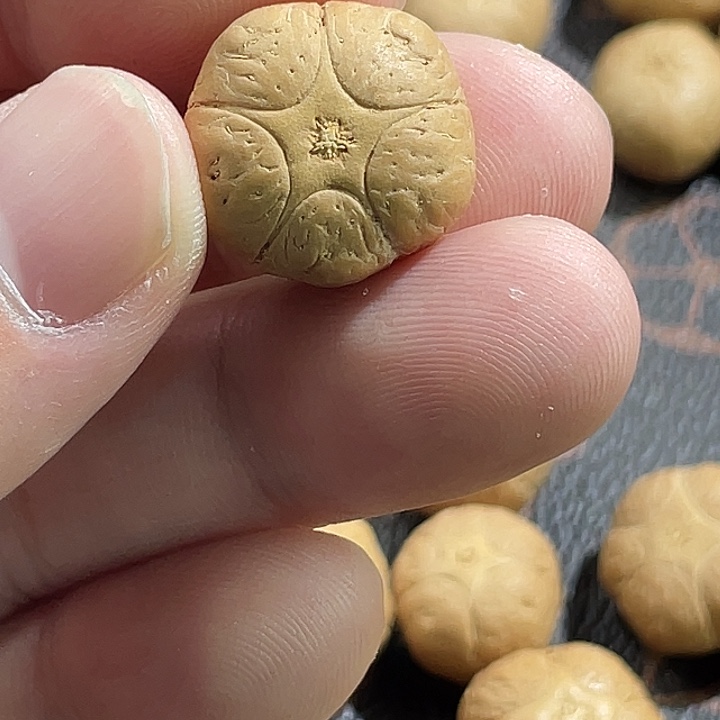 张***亮凤眼菩提吊坠尼泊尔小