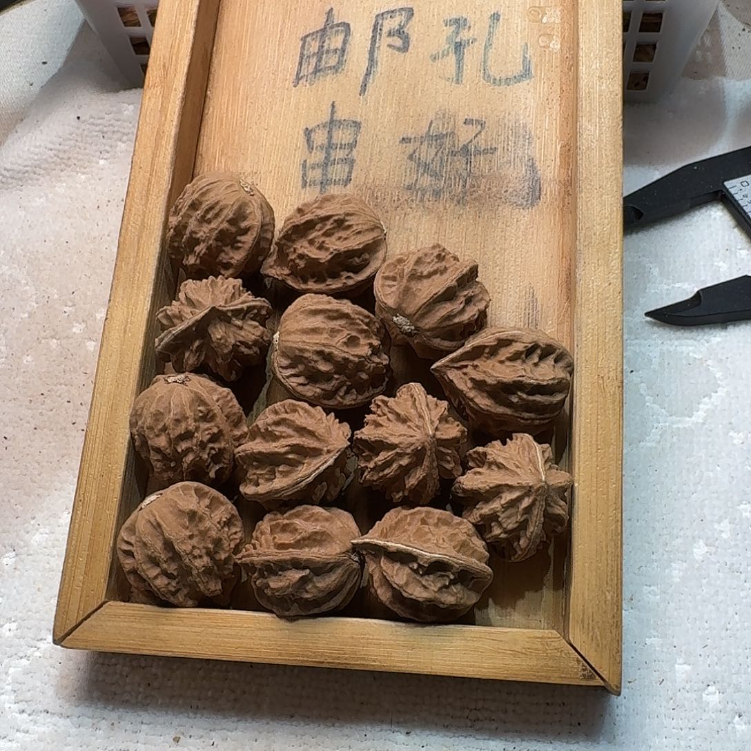 核桃手串/手链72号边26手串