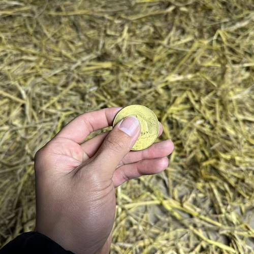 13-精选家居摆件-现代仿古摆件-SG